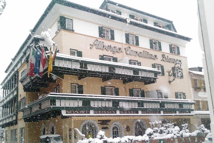 CAVALLINO BIANCO NATALE